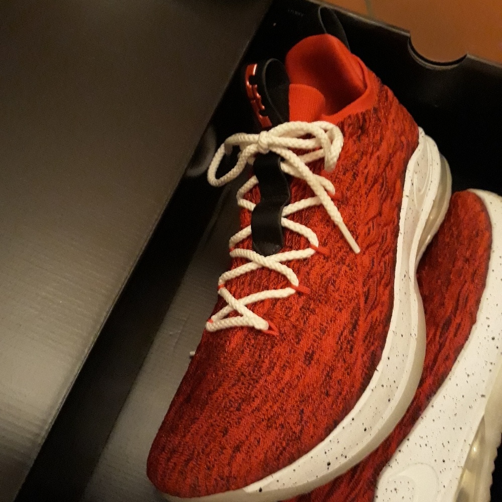 Nike Lebron xv low